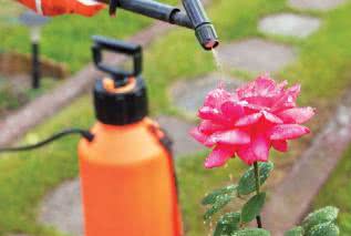 Toksyczny ogródek - jak nam szkodzą pestycydy?
