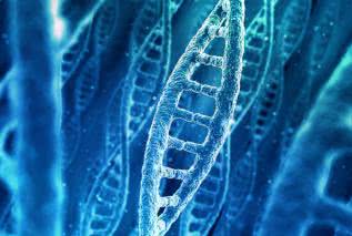 Metylacja DNA, czyli jak zmodyfikować kod genetyczny?