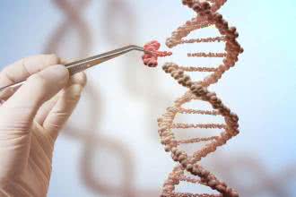 Mutacje DNA, czyli genetyczna ruletka