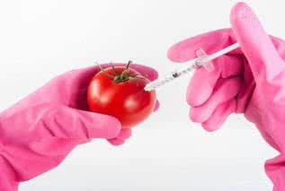 Genetycznie modyfikowane organizmy (GMO): czy jest się czego bać?