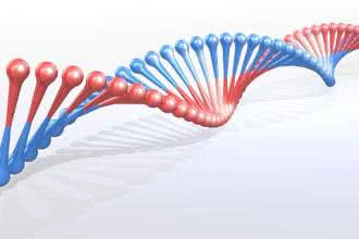 Ludzkie DNA wygląda inaczej, niż sądziliśmy
