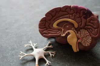 Pasożyty w mózgu – rodzaje, objawy i usunięcie