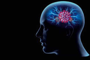 Bariera krew-mózg - jak bakterie i wirusy wpływają na mózg? 