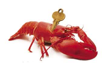 Cała nadzieja w infekcjach