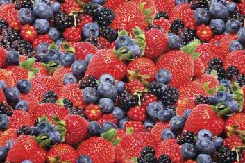 Popraw metabolizm za pomocą kwercetyny