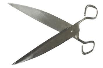 A zatem sądzisz, że potrzebujesz wazektomii?