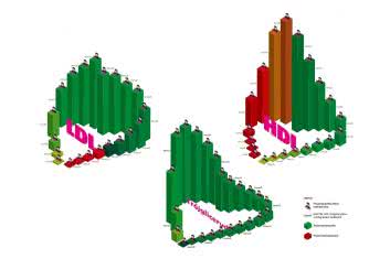 Cholesterol - teoria nie idzie w parze z praktyką