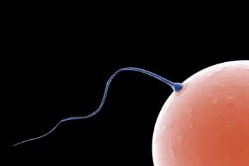 Zaprojektuj sobie dziecko