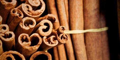 Cynamon powstrzyma chorobę Parkinsona?