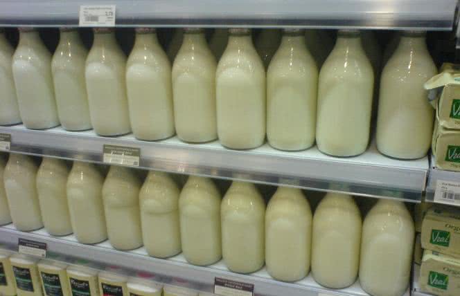 Zbyt duże ilości mleka prowadzą do przedwczesnej śmierci