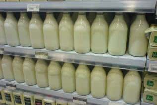 Zbyt duże ilości mleka prowadzą do przedwczesnej śmierci