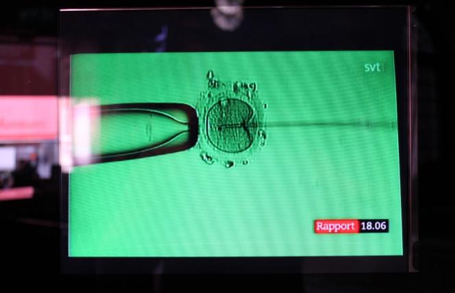 Apple i Facebook płacą pracownikom za zamrażanie komórek jajowych