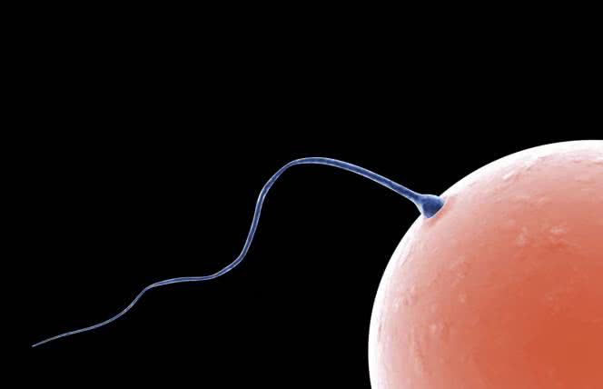 Projekt dziecko: wyeliminuj wadliwe geny