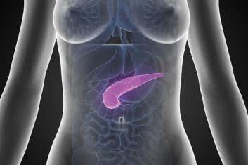 Trzustka pilnie poszukiwana