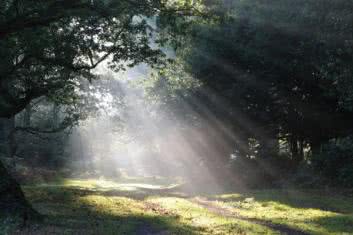 Bez słońca nie da się żyć