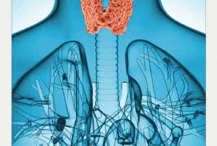 Choroby tarczycy. Czy wiesz, skąd się biorą? Poznaj objawy chorób tarczycy