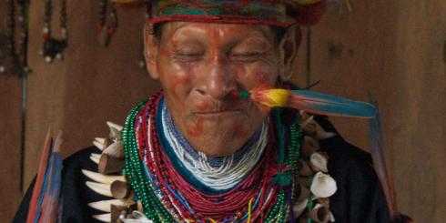 Ayahuasca - lek na depresję czy narkotyk?