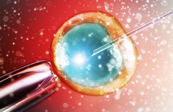 Sejm za in vitro