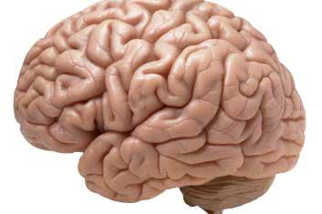 Koenzym Q10 na zdrowie