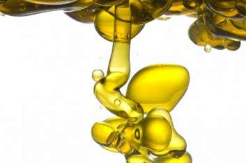 Nie bój się tłuszczu!