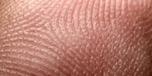 Nowa trzustka z komórek skóry