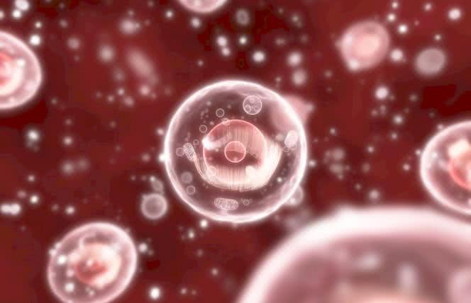 Na czym polega medycyna mitochondrialna?