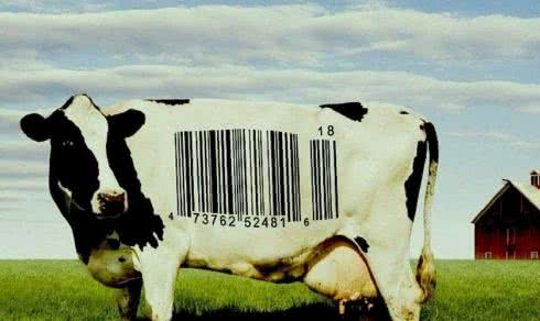 Mleko - lek czy trucizna?