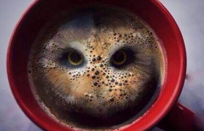 Kawa ogranicza ryzyko chorób serca