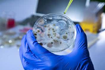 Jeśli nie antybiotyk, to co?