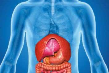 Candida: ostateczne rozwiązanie
