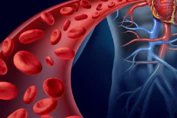 Borelioza - nieznana przyczyna chorób serca