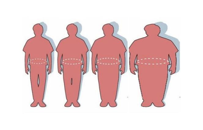 Jak działa nasz metabolizm?