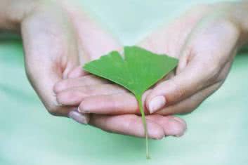 HTZ, tykająca bomba zegarowa