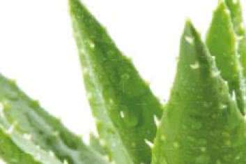 Brakiem odporności jesienią