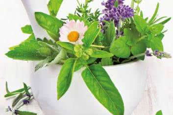 Zielony bicz na migreny