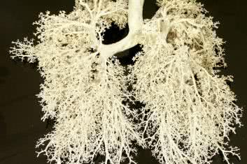 Główne zagrożenia dla Twoich płuc