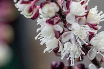 Zaburzeniami płodności