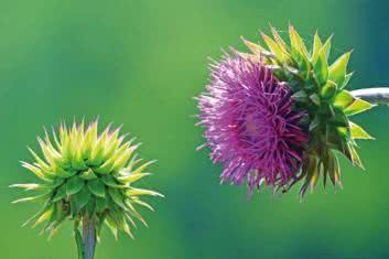 Twój plan naprawczy