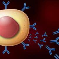Skąd się biorą choroby autoimmunologiczne?