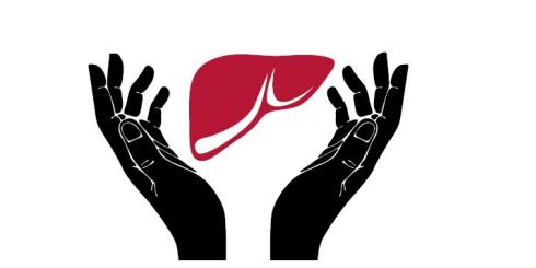 Wątroba - superbohaterka organizmu