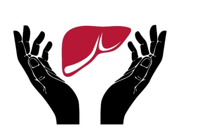 Wątroba - superbohaterka organizmu