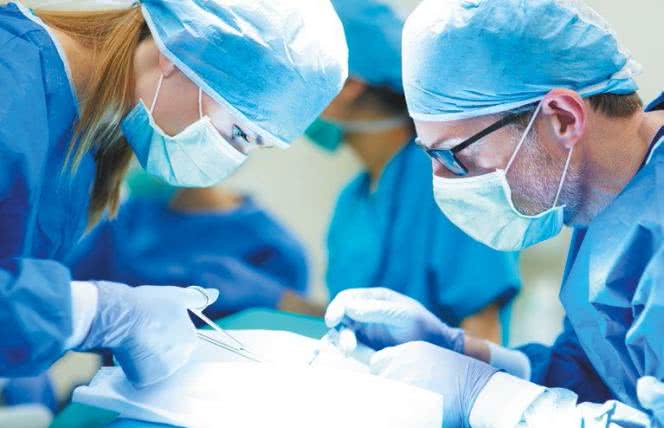 Chimery - przyszłość transplantologii?