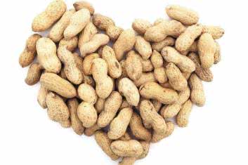 Gdzie jest dziadek do orzechów?