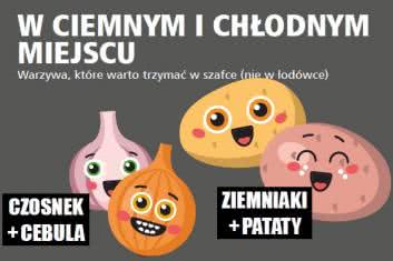 Lodówkowi kumple (i wrogowie)