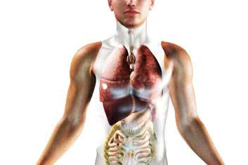 Człowiek - magazyn niebezpiecznych substancji