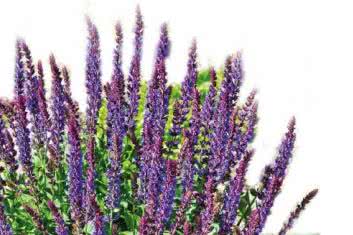 Sposoby na oparzenia skóry