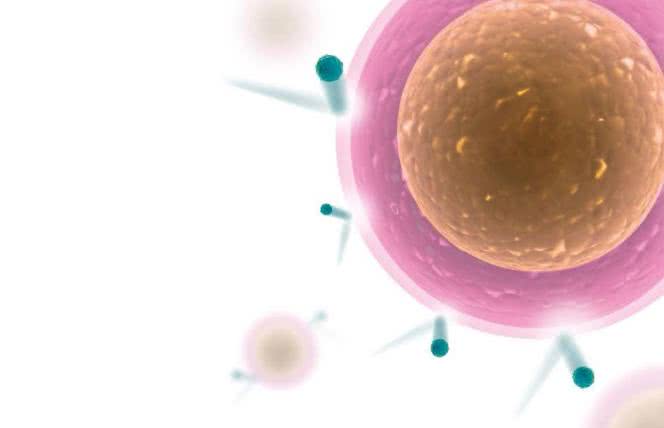 Glutation - najsilniejszy antyoksydant