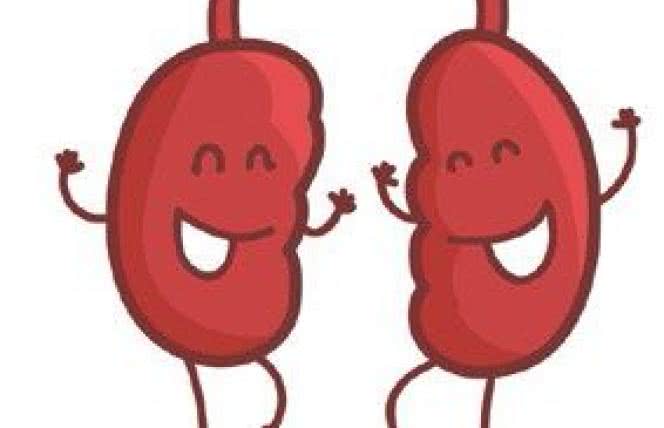 Oczyszczanie organizmu. Jak odzyskać witalność?