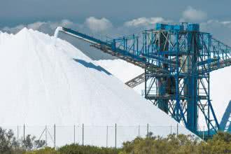 Julia Cember-Ogorzałek