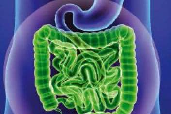 Zdrowe jelita to zdrowa psychika